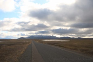Egilsstadir F910 IJsland IMG 3047 300x200 Egilsstadir, F910, IJsland IMG 3047  Gerben Tiemens, Lineke Brouwer