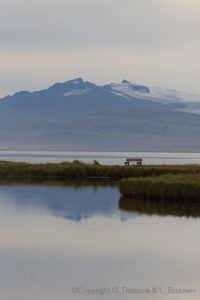 Gletsjers IJsland IMG 3343 200x300 Gletsjers, IJsland IMG 3343  Gerben Tiemens, Lineke Brouwer