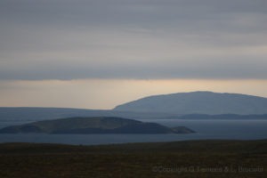 IJsland Thingvellir IMG 3913 300x200 IJsland, Thingvellir IMG 3913  Gerben Tiemens, Lineke Brouwer
