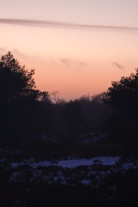 IMG 1763 200x300 IMG 1763  Gerben Tiemens, Lineke Brouwer