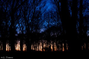 IMG 3161 300x200 IMG 3161  Gerben Tiemens, Lineke Brouwer