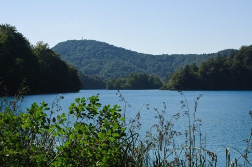 Plitvice Kroatië  Zomer Waterval Water Vissen Vakantie Plitvice Kroatie Kalk Helder Blauw  