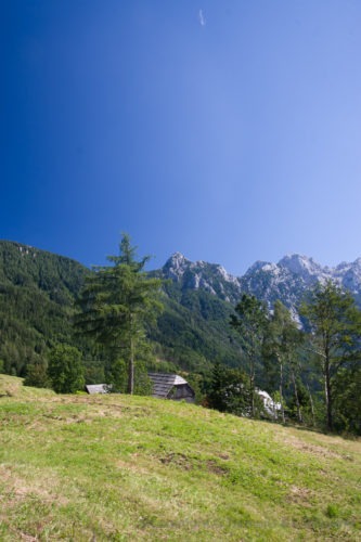 Logarska Dolina Slovenië  Waterval Slovenie Logarska Dolina Karawanken Bergen Alpen  