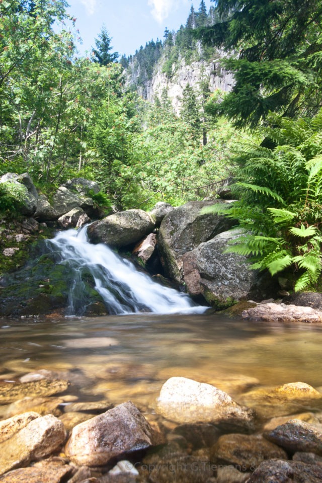 Spindleruv Mlyn, Pramen Labe Tsjechië Zomer Wandeling Vakantie Tsjechie Spindleruv Mlyn Rivier Reuzengebergte Pramen Labe Photo Medvedin Labe Krknose Elbe Bron Bloemen