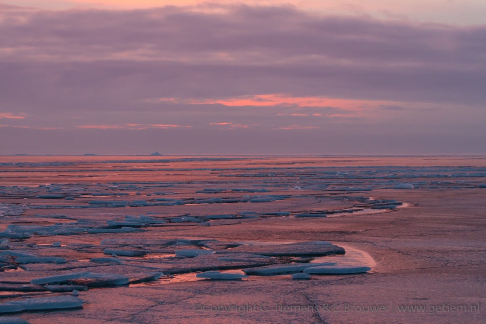 Kruiend ijs in het roze Winter  Zonsondergang Urk roze kruiend ijs Ijsselmeer Flevopolder dijk blauw ijs  