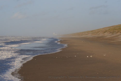 Storm aan het strand Strand en duinen  Wind Stuiven Strand Storm Noordwijkerhout Noordwijk Golven Duinen  