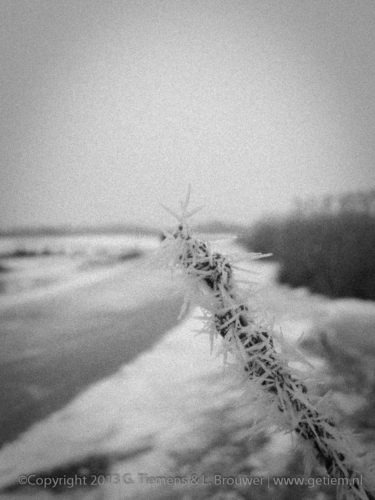 Giethoorn en de Weerribben vanaf het ijs Winter  Wieden Weerribben schaatsen Januari 2013 Ijs Giethoorn  