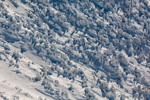 Sneeuwwandeling over de Snezka 2019 Tsjechië  Snezka Sneeuw Polen Pec pod Snezkou Ijs Grens  