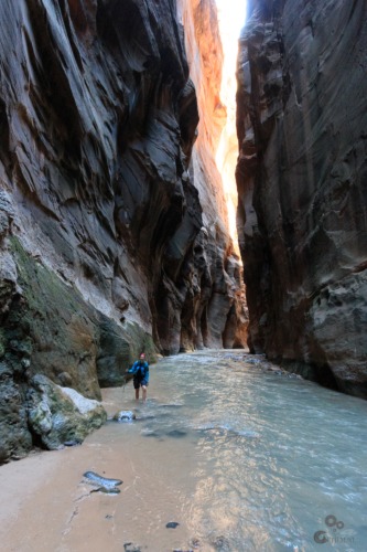 The Narrows, Zion Utah  Zion The narrows Rivier Canyon  
